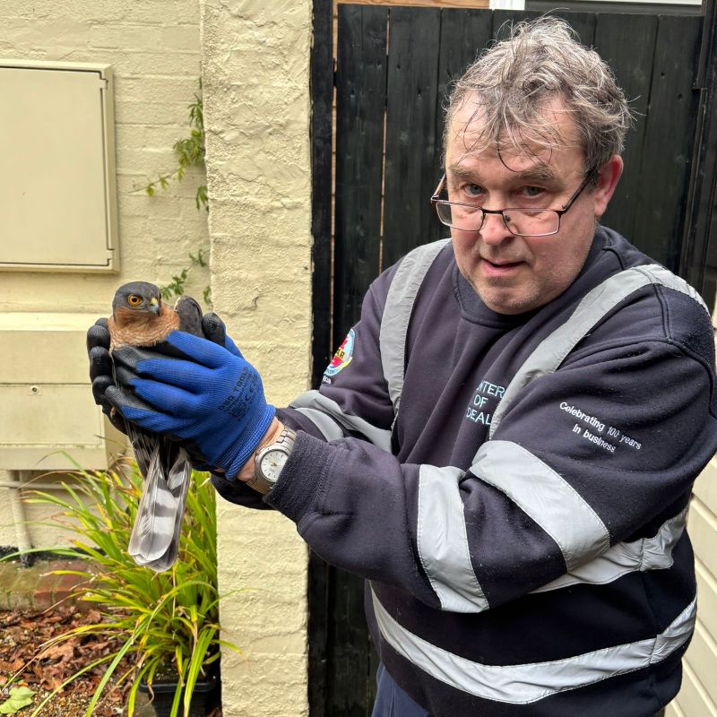 Steve - The Bird Whisperer - Minters Ltd Gallery